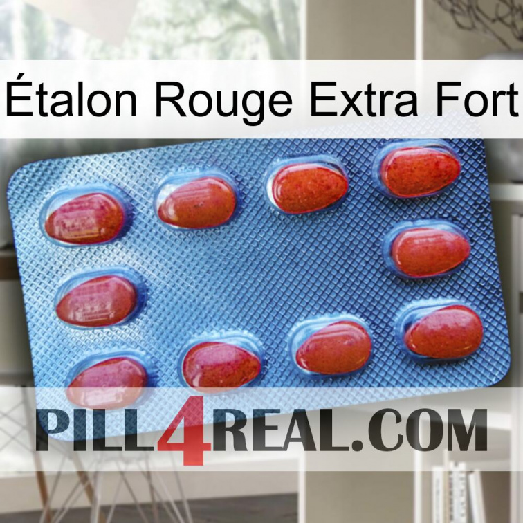 Étalon Rouge Extra Fort 06
